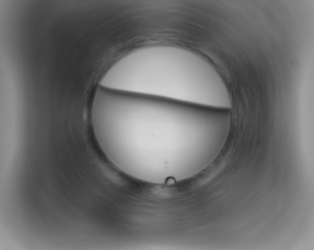 X0000114730261200910211108