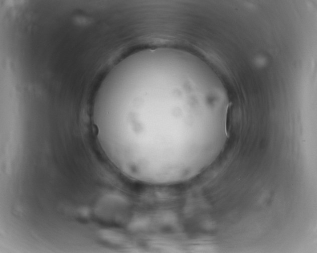 X0000114730264200910211108