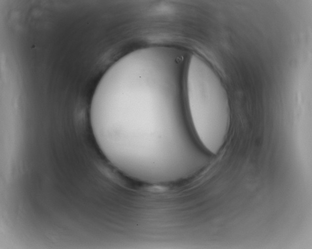 X0000114730265200910211108