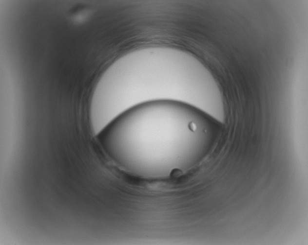 X0000114730268200910211109