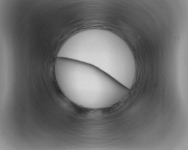 X0000114730271200910211109