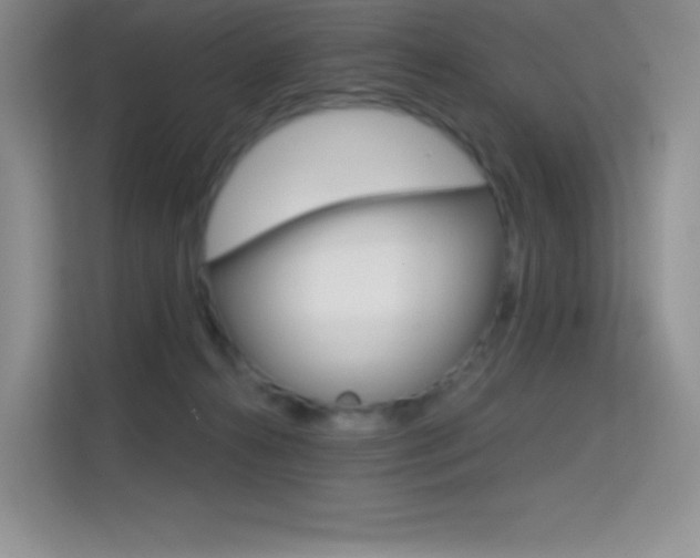 X0000114730272200910211109