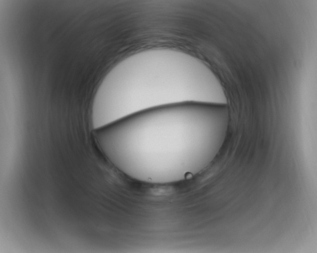 X0000114730274200910211109
