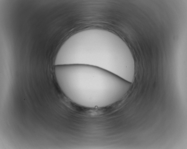 X0000114730275200910211109