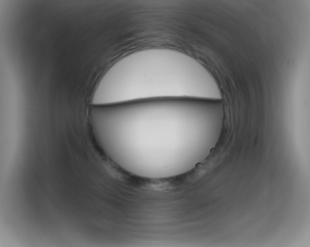 X0000114730278200910211109
