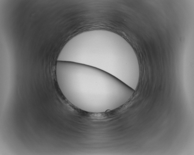 X0000114730281200910211109