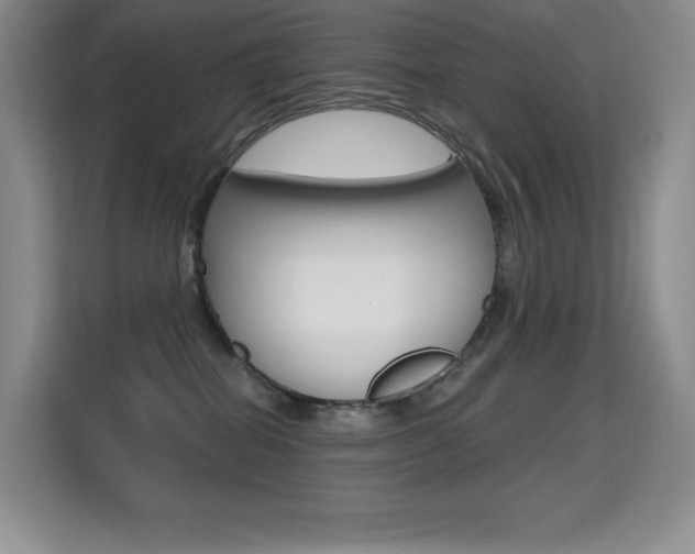 X0000114730282200910211109
