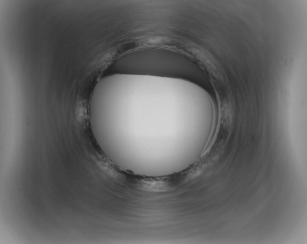 X0000114730284200910211109