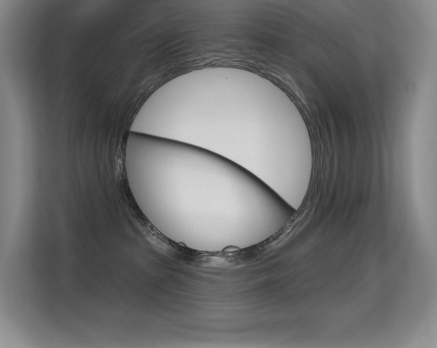 X0000114730285200910211109