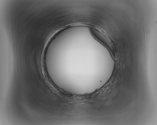 X0000114730289200910211108