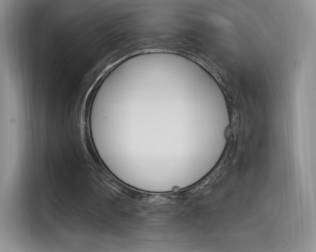X0000114730290200910211108
