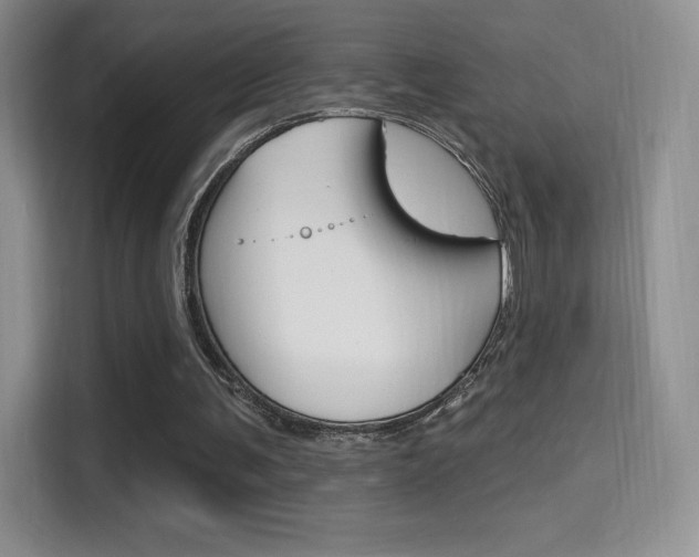 X0000114730291200910211108