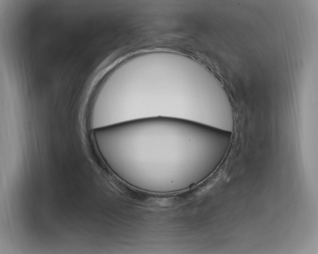 X0000114730295200910211108