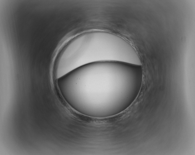 X0000114730296200910211108