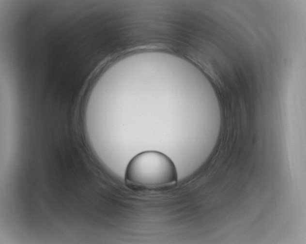 X0000114730300200910211108