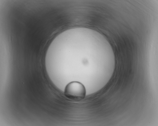 X0000114730308200910211108