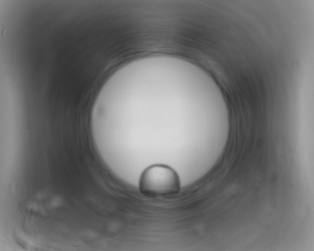 X0000114730312200910211108