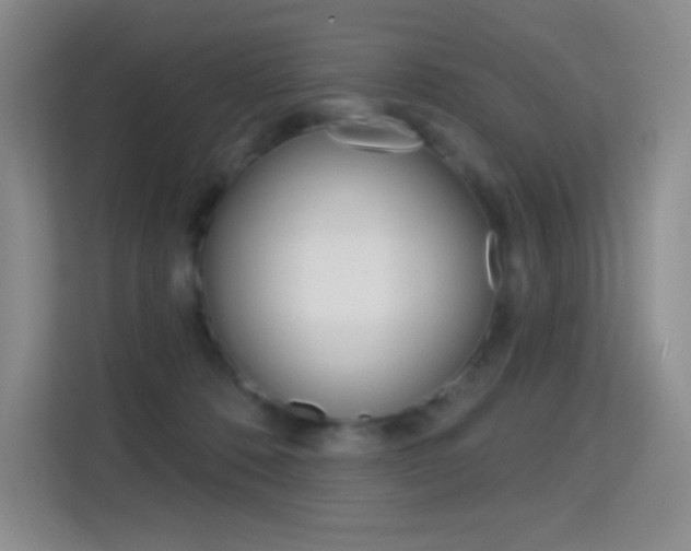 X0000114730320200910211108