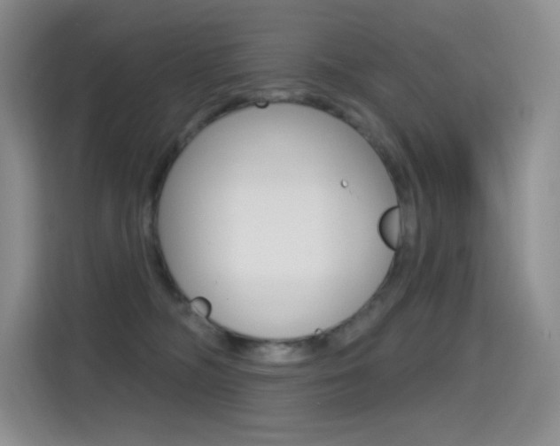 X0000114730326200910211108