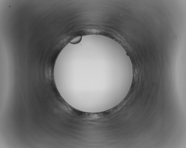 X0000114730330200910211108