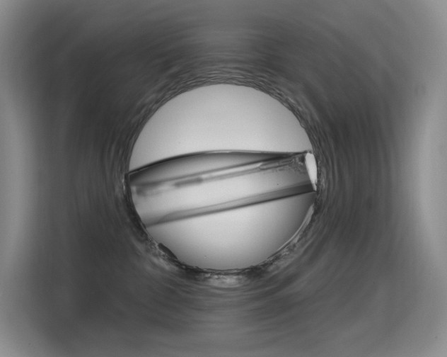 X0000114730332200910211108