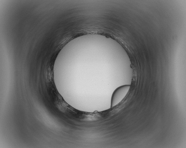 X0000114730334200910211108