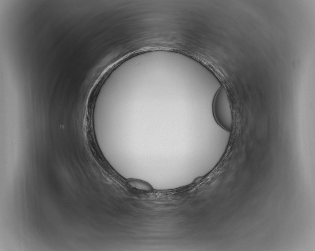 X0000114730338200910211107