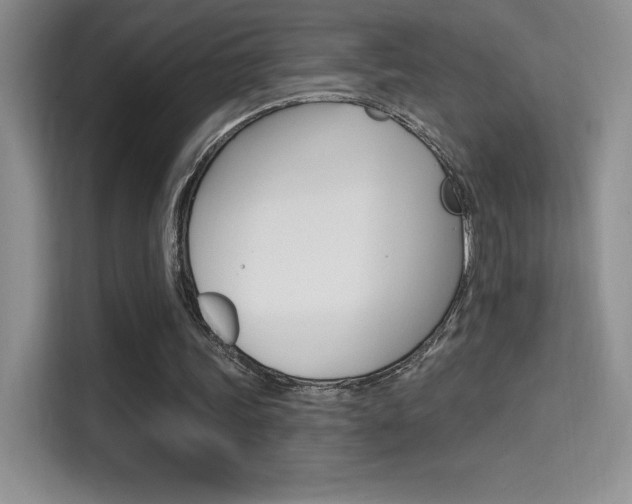 X0000114730339200910211107