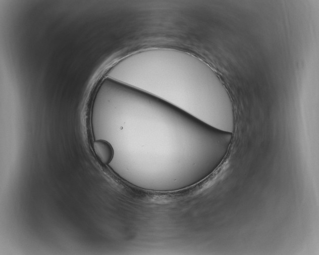 X0000114730341200910211107