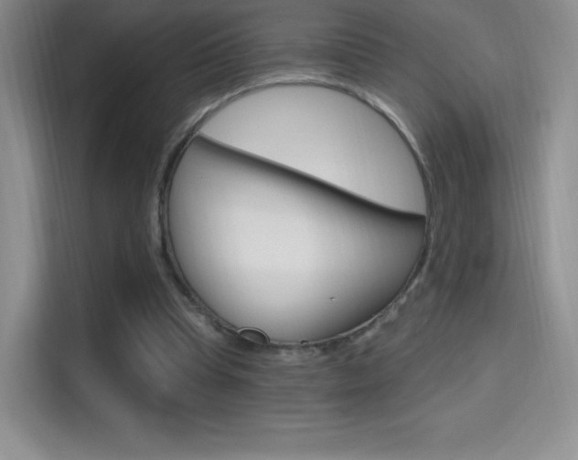 X0000114730345200910211107
