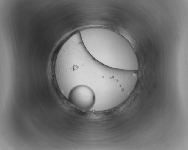 X0000114730346200910211107