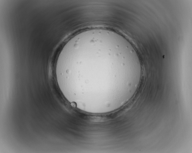 X0000114730347200910211107