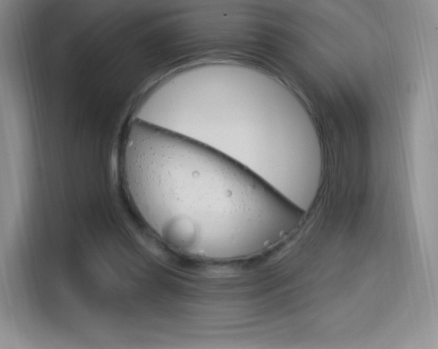 X0000114730349200910211107
