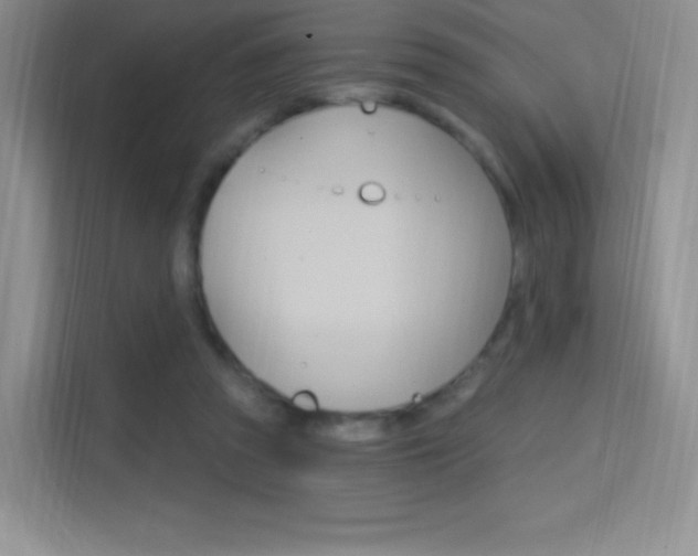 X0000114730353200910211107