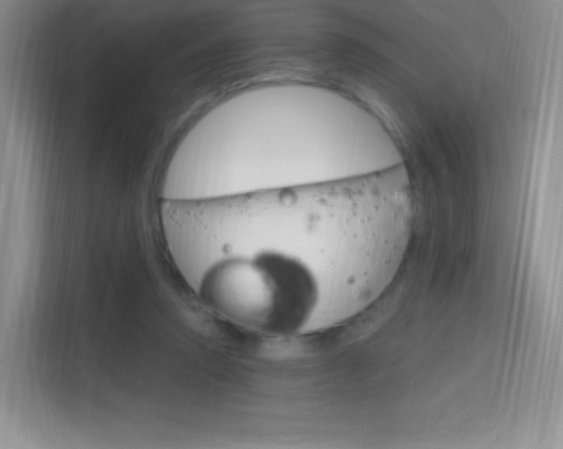 X0000114730354200910211107