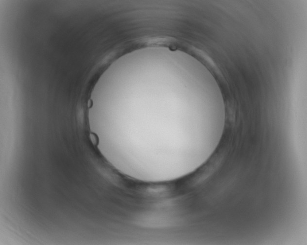 X0000114730357200910211107