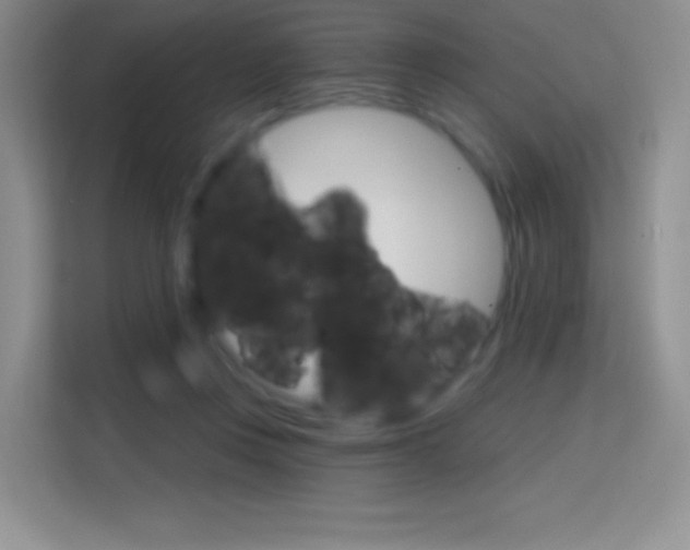 X0000114730359200910211107