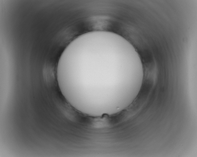 X0000114730363200910211107