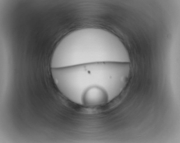 X0000114730366200910211107