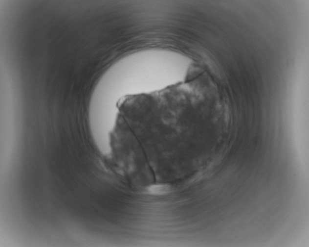 X0000114730371200910211107
