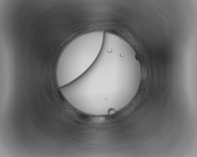 X0000114730374200910211107