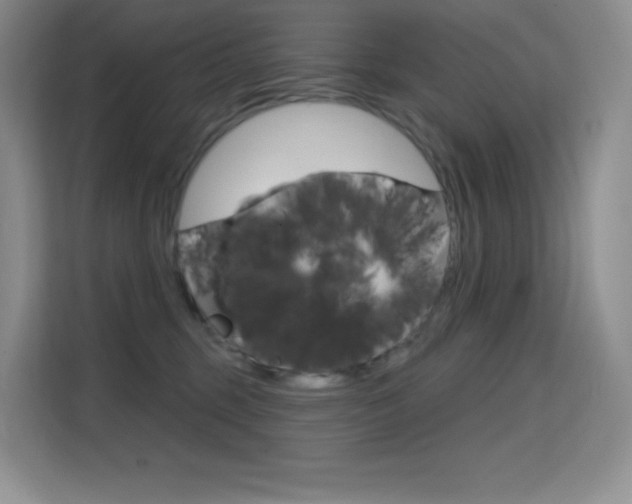 X0000114730375200910211107