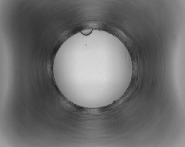 X0000114730377200910211107