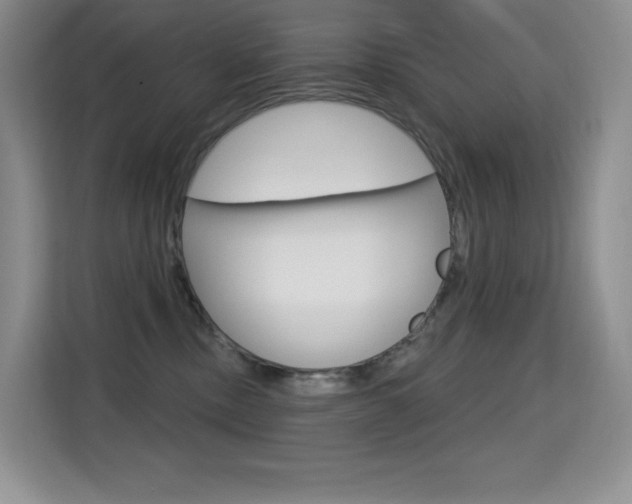 X0000114730378200910211107
