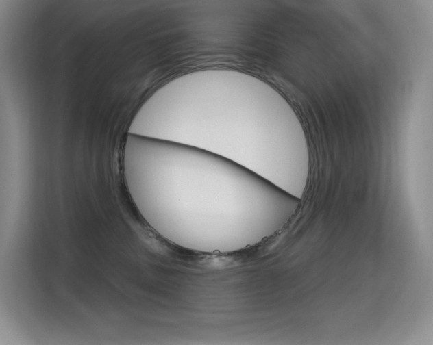X0000114730379200910211107