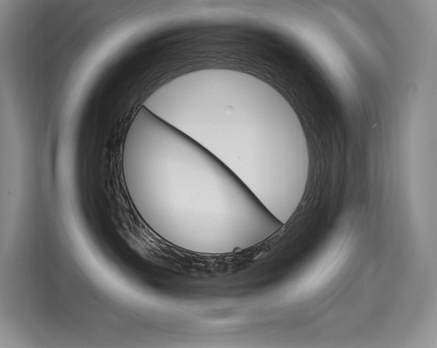 X0000114730383200910211108
