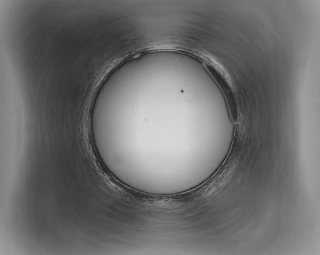 X0000114730385200910211107