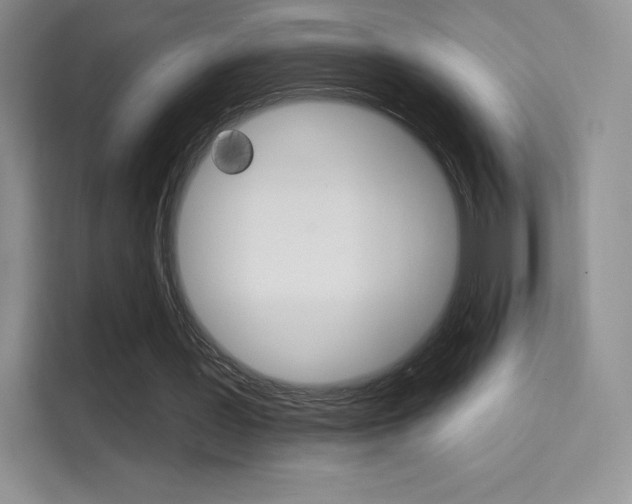 X0000114730387200910211107