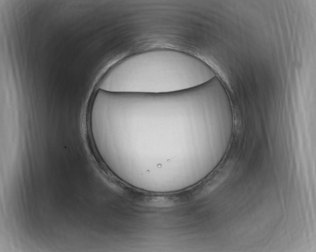 X0000114730390200910211107