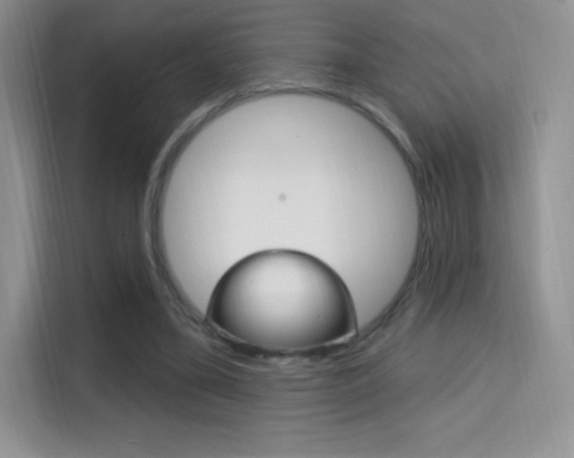 X0000114730395200910211107